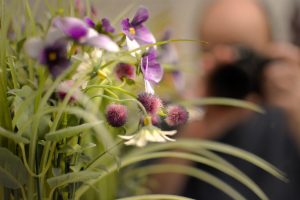 flores-artificiales-en-barcelona